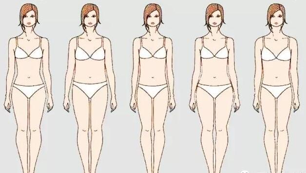 女式定做服装体型
